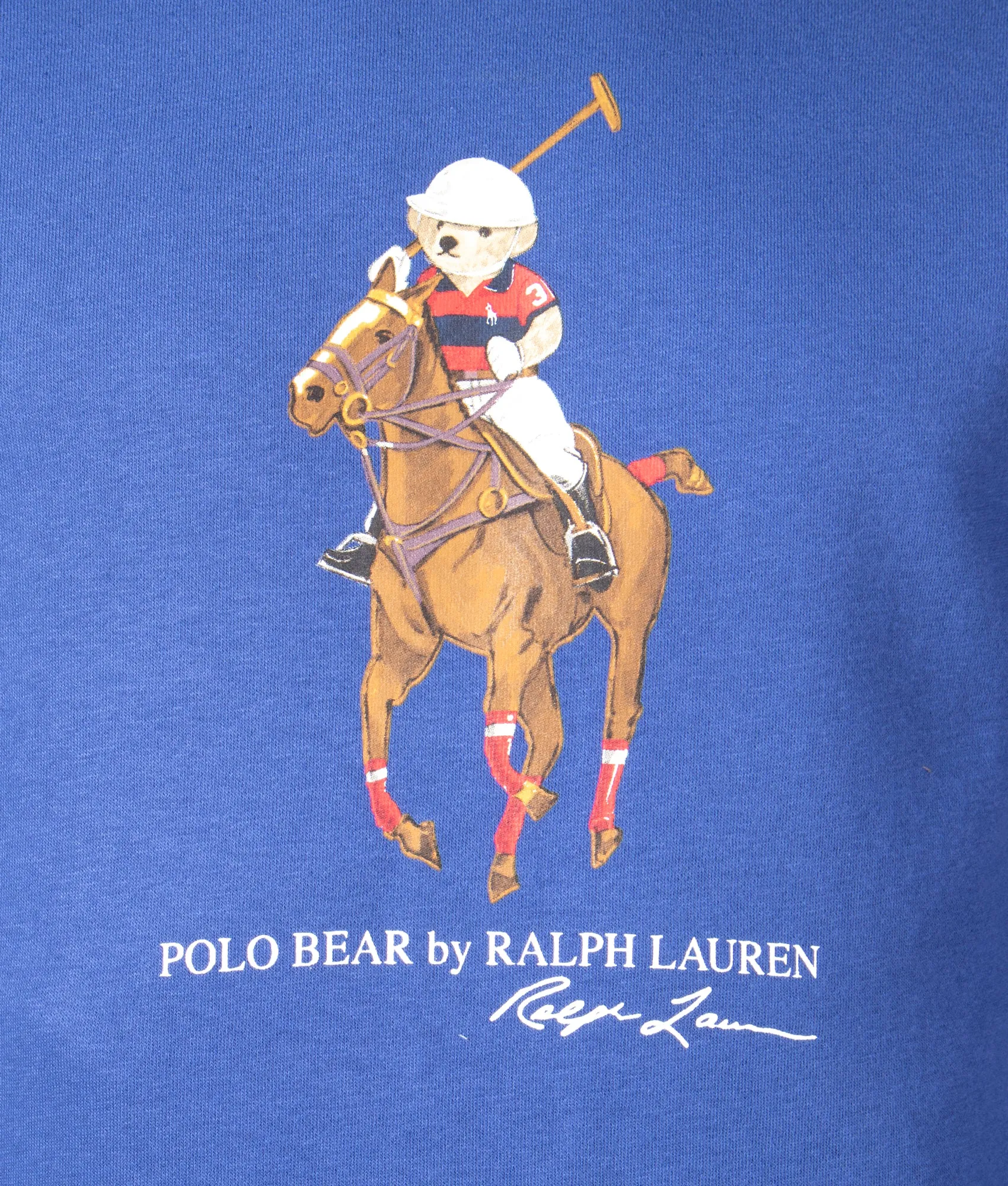 Polo Bear & Big Pony Fleece Hoodie
